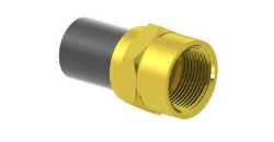 Bild von +GF+ ELGEF Plus Übergangsadapter PE/Messing d25-63mm / SDR11 / Innengewinde Rp, d mm: 63, Art.Nr.: 720920241